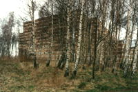 the inspiring birches at Egedal Kirke